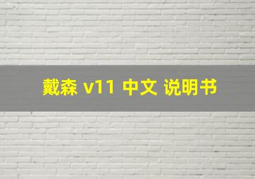 戴森 v11 中文 说明书